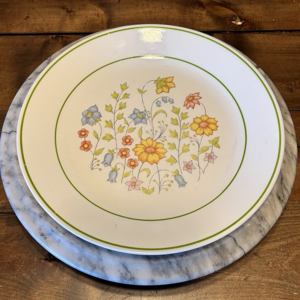 7pc VTG 1970s Corning Ware Corelle Meadow 10.25" Dinner Plate Plates Vitrelle